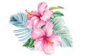Flowers and palm leaves, hibiscus, on an isolated white background, Bouquet watercolor illustration