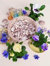 Flowers Pansies in a flower pot seasonal flowers shells sea stones water glass bottles still life spring summer beach gardening Fl Royalty Free Stock Photo