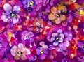 Flowers pansy, violet texture oil painting. Abstract hand-painted flowers background