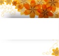 Flowers on a paper background