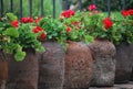 Closeup photo with raw of red flowers in ceramic pots made in park in Mexico City