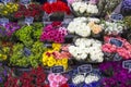 Flowers on a Paris market, France Royalty Free Stock Photo