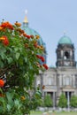 Flowers in the park Lustgarten