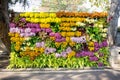 Flowers partition background. Colorful flowers partition at the park background texture Royalty Free Stock Photo