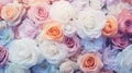 flowers pastel roses background