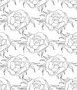 Flowers pattern, drawing and sketch with line-art on white backgrounds. Silhouette Royalty Free Stock Photo