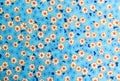 Flowers pattern on fabric background Royalty Free Stock Photo