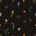 Flowers pattern, seamless print. Delicate floral branches, field plants, stems on endless botanical background. Summer