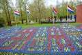 Flowers pattern in spring garden Keukenhof, Lisse, Netherlands