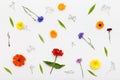 Flowers pattern on white background. Top view, flat lay