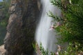 Flowers before a peaceful waterfall in Chile