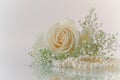 Flowers and pearls on white background