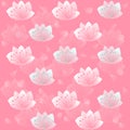 Flowers petals pink background wallpaper