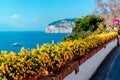 Flowers in Piano di Sorrento Royalty Free Stock Photo