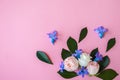 Flowers on pink background, free space for your text Royalty Free Stock Photo