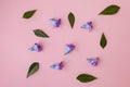 Flowers on pink background, free space for your text Royalty Free Stock Photo