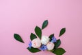 Flowers on pink background, free space for your text Royalty Free Stock Photo