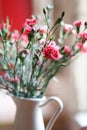 Flowers: pink carnations bouquet in a jug