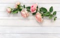 Flowers pink roses with leaves on background of white painted wooden planks with space for text. Top view, flat lay Royalty Free Stock Photo