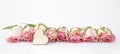 Flowers - Pink roses and wooden heart isolated on white background banner texture vintage Royalty Free Stock Photo