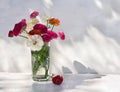 Flowers pink and white buttercups in glass vase on white wooden table on a light background with space for text Royalty Free Stock Photo