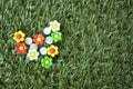 Flowers pins on grass Royalty Free Stock Photo