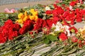 Flowers placed at a monument for victory day of World war. Royalty Free Stock Photo