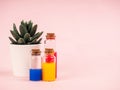 Flowers and plant extracts or perfume in small bottles on pink background. three small bubbles with red blue and yellow liquid, Royalty Free Stock Photo