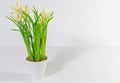 Flowers in plant pot Royalty Free Stock Photo