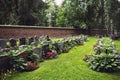 Lutheran graves in Kalevankangas, Tampere