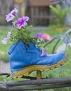 Flowers planted in an old Shoe