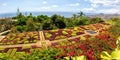 Flowers and plants in botanical garden of Funchal panorama on Madeira island in Portugal