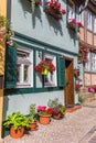 Flowers and plants at a colorful house in Quedlinburg Royalty Free Stock Photo