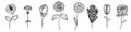 Flowers plants floral collection set in outline style for coloring. Hand drawn simple vector illustration Royalty Free Stock Photo