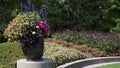 Flowers and plants in flower pots in the public park Royalty Free Stock Photo