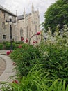 Flowers and plants near historical monuments in quebec city