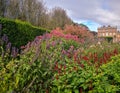 Flowers and Plants with Newby Hall in the background, North Yorkshire United Kingdom