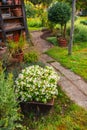 Flowers and plants in a pot with small path