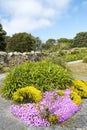 Flowers and plants Scilly Islands Royalty Free Stock Photo