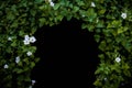 Flowers and plants tunnel,Blank for copy,isolated black background Royalty Free Stock Photo