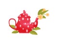 Flowers in polka dot teapot on white background. Royalty Free Stock Photo