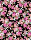 Flowers. Poppy, wild roses, cornflowers with leaves on black. Seamless background pattern. Hand drawn. Watercolor. Vector - stock Royalty Free Stock Photo