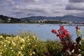 Flowers in the port of Hendaye in Frances Royalty Free Stock Photo