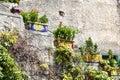 Flowers in Positano streets, Naples, Italy