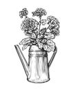 Flowers in a pot. Bouquet and watering can in sketch style. Gardening vintage vector illustration