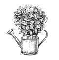 Flowers in a pot. Bouquet and watering can in sketch style. Gardening vintage vector illustration