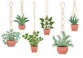 Flowers in a pot macrame pots, modern Scandinavian style, interior decor. Hanging plants set. Vector illustration