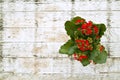 Flowers in pot on the old wooden table