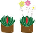 Flowers in pot plants illustration