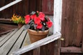 Flowers in a pot on the porch of a wooden house, Finland